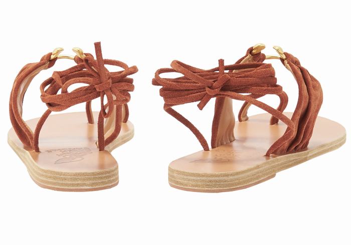 Sandales De Gladiateur Ancient Greek Sandals Kerasia   | MPS-2933532